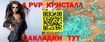 гидра Будённовск